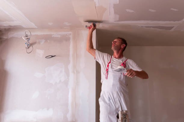 Best Ceiling Drywall Installation  in Pompano Beach, FL